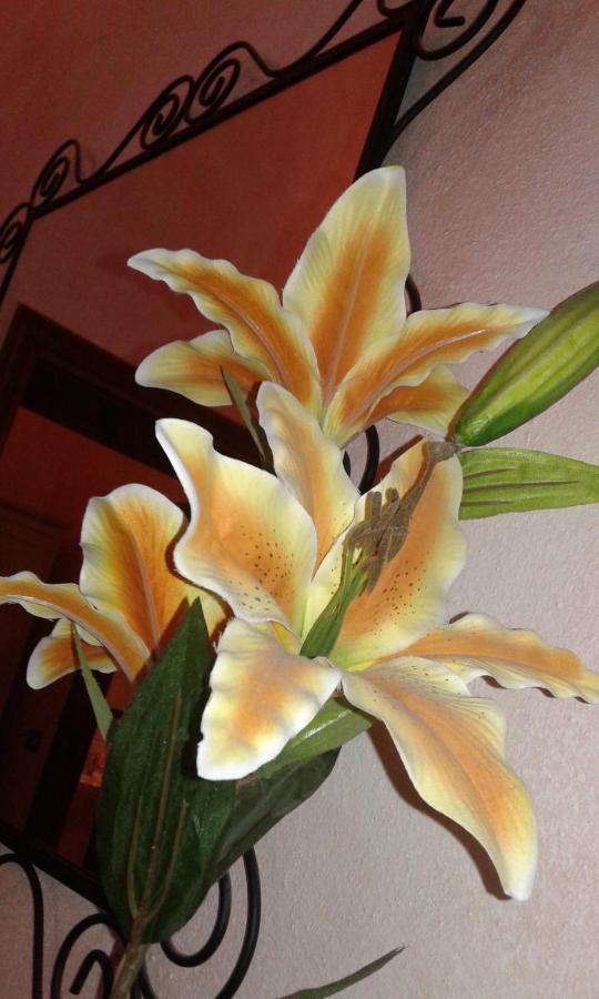 Il Giglio D'Oro Bed and Breakfast Arezzo Eksteriør billede